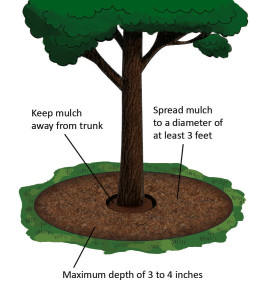 TreeMulch